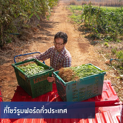 ‘ฟอร์ดพร้อมเคียงข้างคุณ’ มอบฟรี! บริการเปลี่ยนถ่ายน้ำมันเครื่องรถกระบะทุกยี่ห้อ สำหรับเกษตรกรไทย จำนวน 4,950 สิทธิ์ ที่โชว์รูมฟอร์ดทั่วประเทศ (มีคลิป)