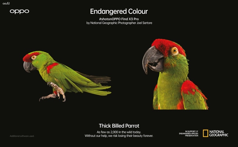 OPPO ปลุกพลังแห่งสีสันพันล้านสี ณ ใจกลางกรุงเทพฯ  พร้อมตอกย้ำความสำคัญของธรรมชาติผ่านแคมเปญ Endangered Colours